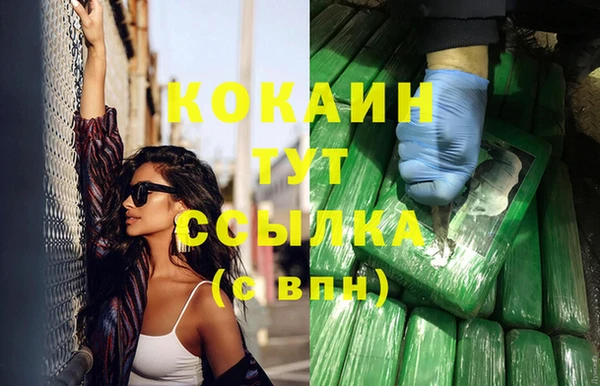 стафф Алексин