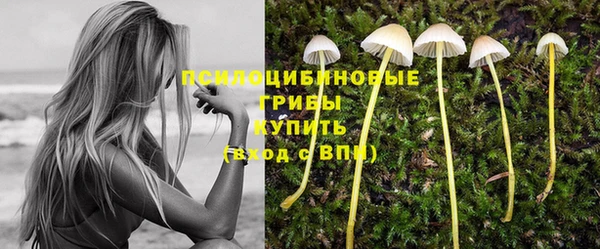 круглые Алзамай