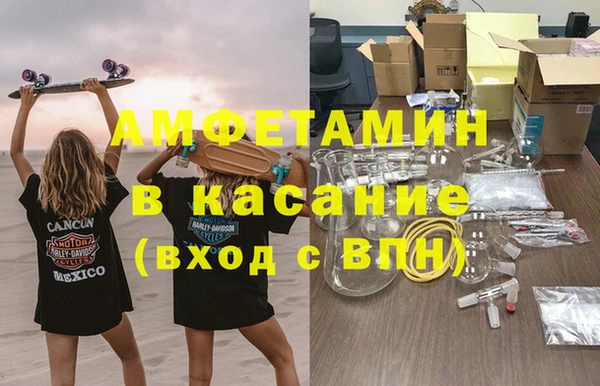 сатива Аркадак