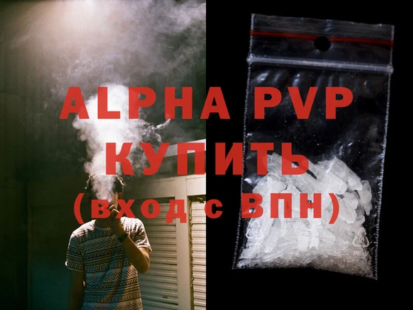стафф Алексин