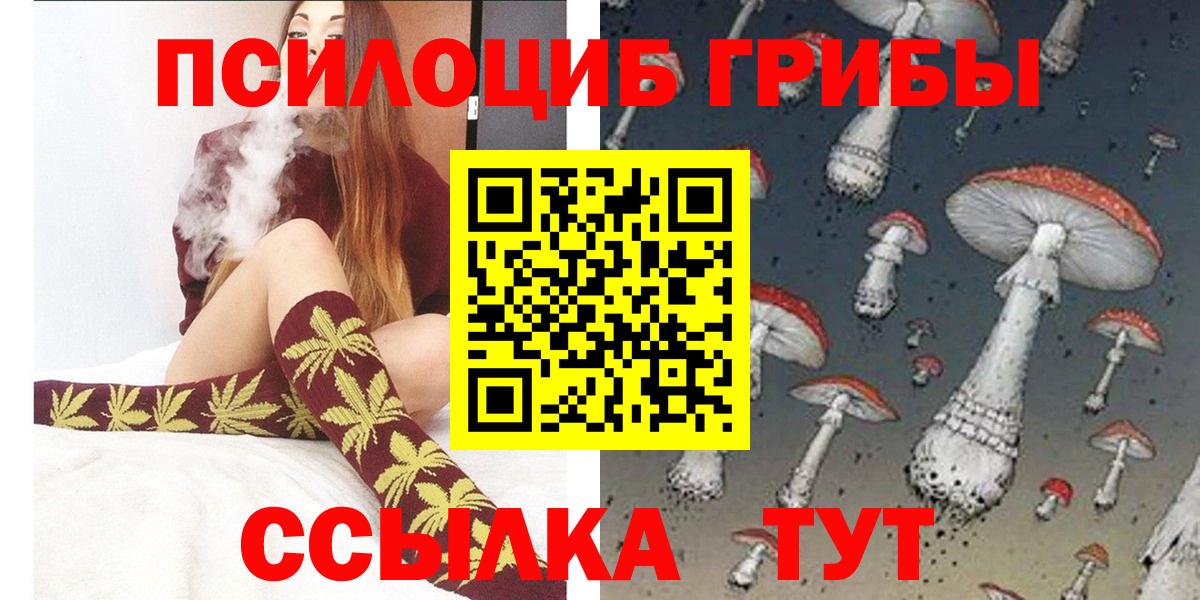 Псилоцибиновые грибы MAGIC MUSHROOMS  Вход с VPN  Псилоцибиновые грибы MAGIC MUSHROOMS  Ейск 